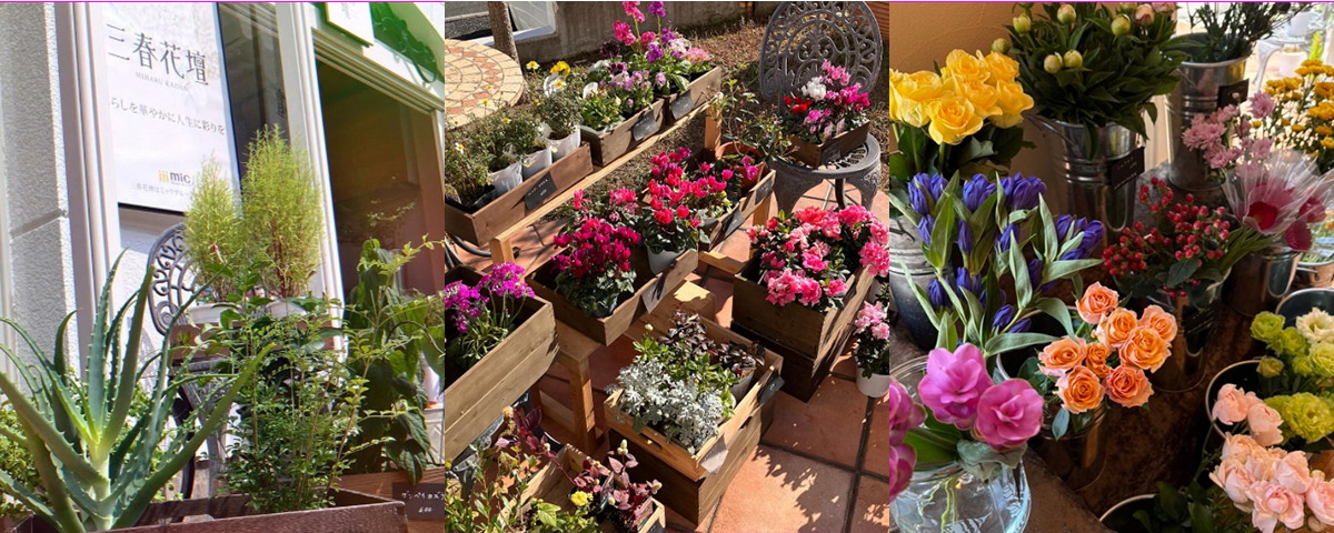 Lutian Lily店内写真